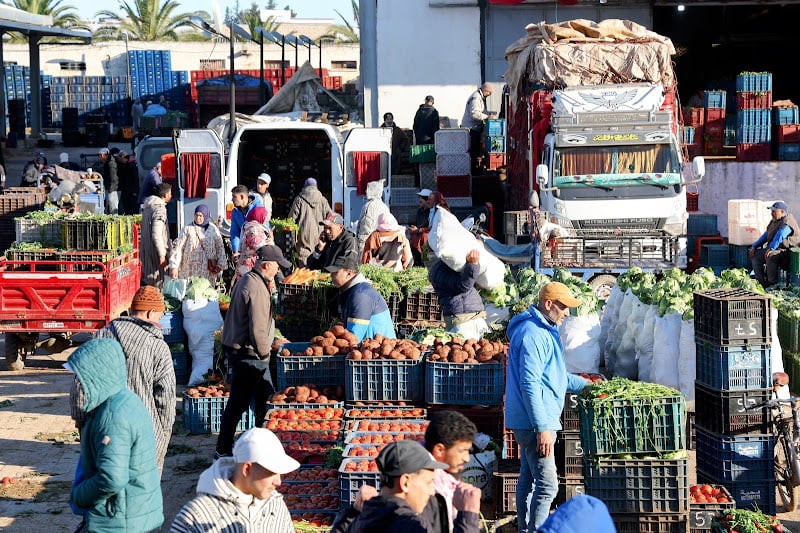 مهنيون يطمئنون المغاربة: أسعار المحروقات لن تؤثر على أثمان الخضر