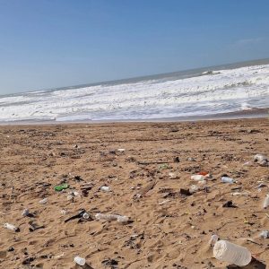 برنامج بيئي لحماية ساحل المهدية