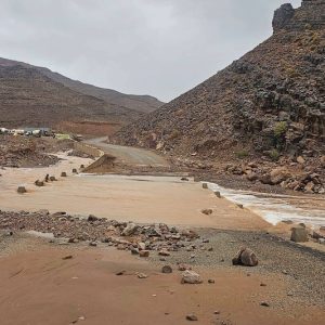 أمطار تنعش واحات الجنوب الشرقي