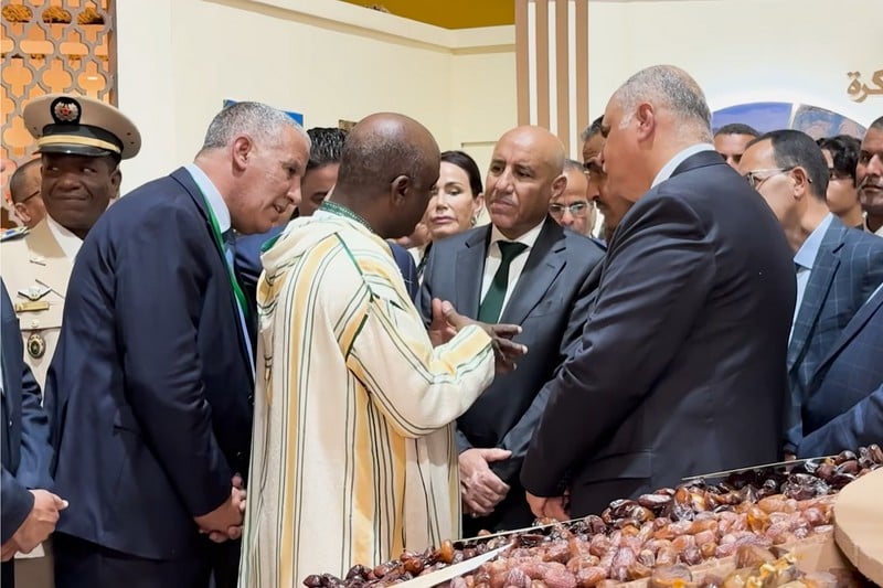 وزير الفلاحة: لا يمكن استيراد التمور من أي بلد دون مراعاة مصالح المغرب