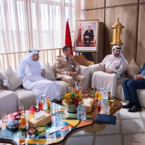 مباحثات لوديي وبريظ و"إيدج" الإماراتية