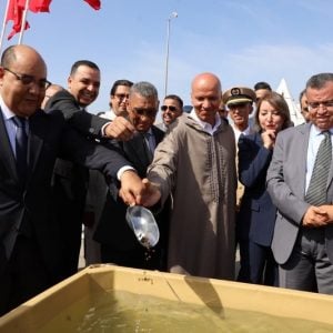 مزرعة لتربية الأسماك في سيدي إفني