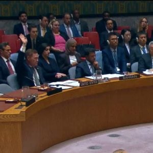 أمريكا تستخدم "الفيتو" ضد مشروع قرار روسي لتمديد ولاية "المينورسو"
