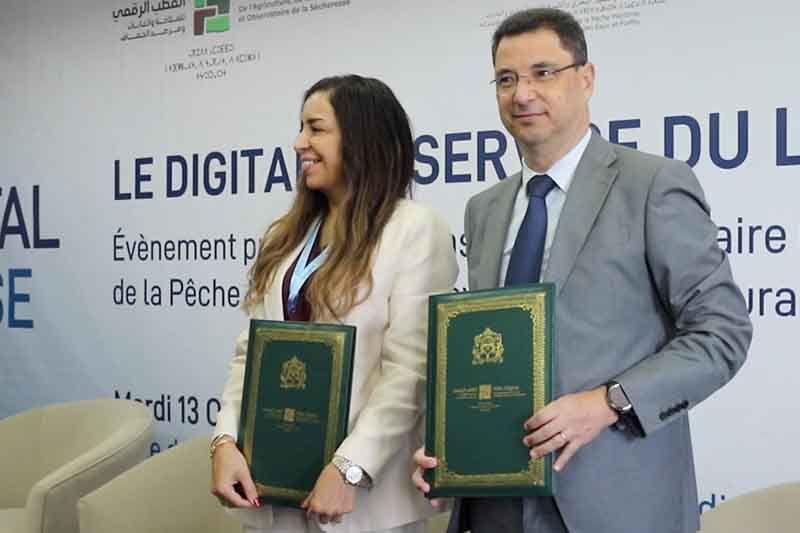 الرقمنة في خدمة مربي الخيول