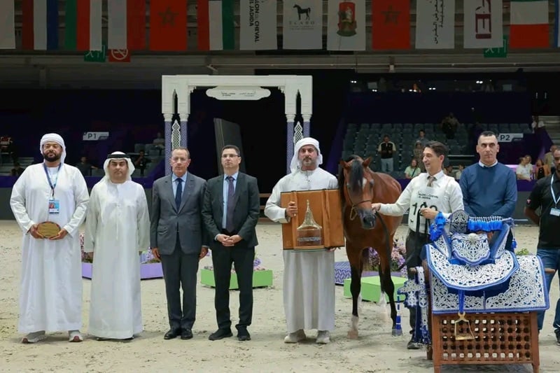 "جمال الخيول العربية".. تميّز إماراتي عماني وحضور مغربي بالفحول