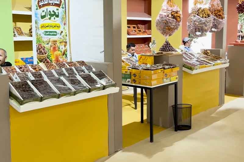 "أونسا" تحارب أمراض النخيل