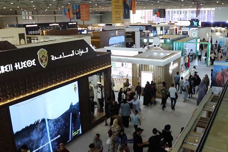 زائرون يشيدون بتنظيم معرض الفرس