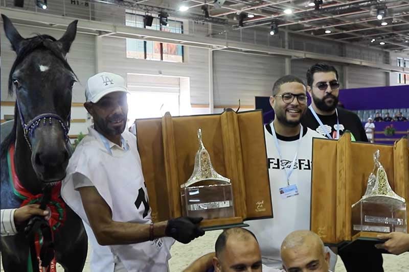 الجديدة تتوّج الخيول البربرية العربية