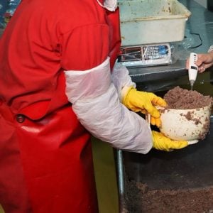 طفرة تأسيس المقاولات بالمغرب تصطدم بمخاطر الإفلاس واستدامة النشاط